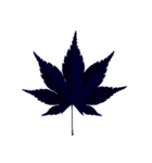大麻(おおあさ)さんのもみじの葉 実写（個別スタンプ：20）