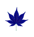 大麻(おおあさ)さんのもみじの葉 実写（個別スタンプ：21）