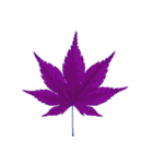 大麻(おおあさ)さんのもみじの葉 実写（個別スタンプ：27）