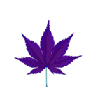 大麻(おおあさ)さんのもみじの葉 実写（個別スタンプ：28）