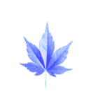 大麻(おおあさ)さんのもみじの葉 実写（個別スタンプ：31）