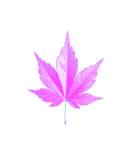 大麻(おおあさ)さんのもみじの葉 実写（個別スタンプ：33）