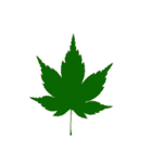 大麻(おおあさ)さんのもみじの葉 実写（個別スタンプ：38）