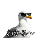 友達なカモメ（個別スタンプ：3）