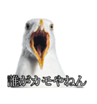 友達なカモメ（個別スタンプ：18）