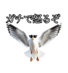 友達なカモメ（個別スタンプ：37）