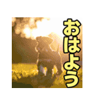 毎日使える！！ミニチュアシュナウザー（個別スタンプ：23）