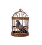鳩 実写（個別スタンプ：33）