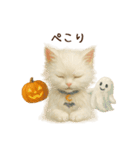 ハロウィン子猫のマジカルスタンプ（個別スタンプ：10）