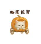 ハロウィン子猫のマジカルスタンプ（個別スタンプ：11）