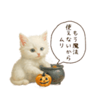 ハロウィン子猫のマジカルスタンプ（個別スタンプ：17）