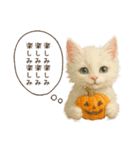 ハロウィン子猫のマジカルスタンプ（個別スタンプ：19）