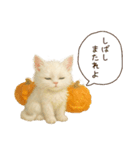 ハロウィン子猫のマジカルスタンプ（個別スタンプ：21）