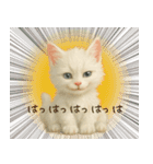 ハロウィン子猫のマジカルスタンプ（個別スタンプ：30）