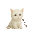 ハロウィン子猫のマジカルスタンプ（個別スタンプ：34）