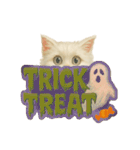 ハロウィン子猫のマジカルスタンプ（個別スタンプ：37）
