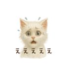 ハロウィン子猫のマジカルスタンプ（個別スタンプ：38）
