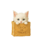 ハロウィン子猫のマジカルスタンプ（個別スタンプ：40）