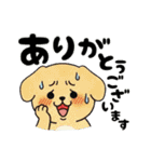 毎日違う！ありがとう（個別スタンプ：35）