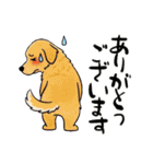 毎日違う！ありがとう（個別スタンプ：36）