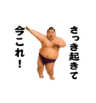 踊る！今これ界隈/相撲取り/関取/力士（個別スタンプ：1）