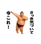 踊る！今これ界隈/相撲取り/関取/力士（個別スタンプ：2）