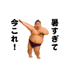 踊る！今これ界隈/相撲取り/関取/力士（個別スタンプ：6）