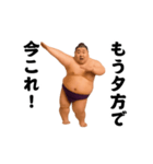 踊る！今これ界隈/相撲取り/関取/力士（個別スタンプ：8）