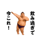 踊る！今これ界隈/相撲取り/関取/力士（個別スタンプ：14）