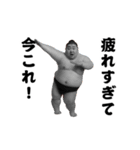 踊る！今これ界隈/相撲取り/関取/力士（個別スタンプ：15）
