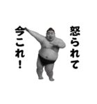 踊る！今これ界隈/相撲取り/関取/力士（個別スタンプ：20）