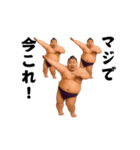 踊る！今これ界隈/相撲取り/関取/力士（個別スタンプ：24）