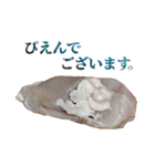 全てを肯定する生肉（個別スタンプ：28）