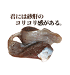 全てを肯定する生肉（個別スタンプ：30）