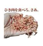 全てを肯定する生肉（個別スタンプ：34）