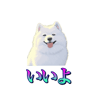 犬味 あいつなんか（個別スタンプ：2）