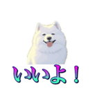 犬味 あいつなんか（個別スタンプ：3）
