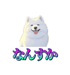 犬味 あいつなんか（個別スタンプ：5）