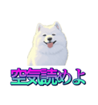 犬味 あいつなんか（個別スタンプ：6）