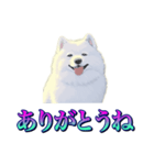 犬味 あいつなんか（個別スタンプ：7）
