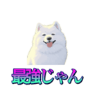 犬味 あいつなんか（個別スタンプ：8）