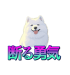 犬味 あいつなんか（個別スタンプ：9）