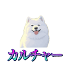 犬味 あいつなんか（個別スタンプ：10）