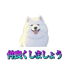 犬味 あいつなんか（個別スタンプ：11）