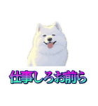 犬味 あいつなんか（個別スタンプ：13）