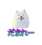 犬味 あいつなんか（個別スタンプ：14）