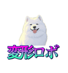 犬味 あいつなんか（個別スタンプ：15）