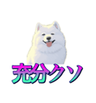 犬味 あいつなんか（個別スタンプ：16）