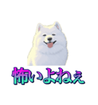 犬味 あいつなんか（個別スタンプ：17）
