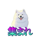 犬味 あいつなんか（個別スタンプ：20）